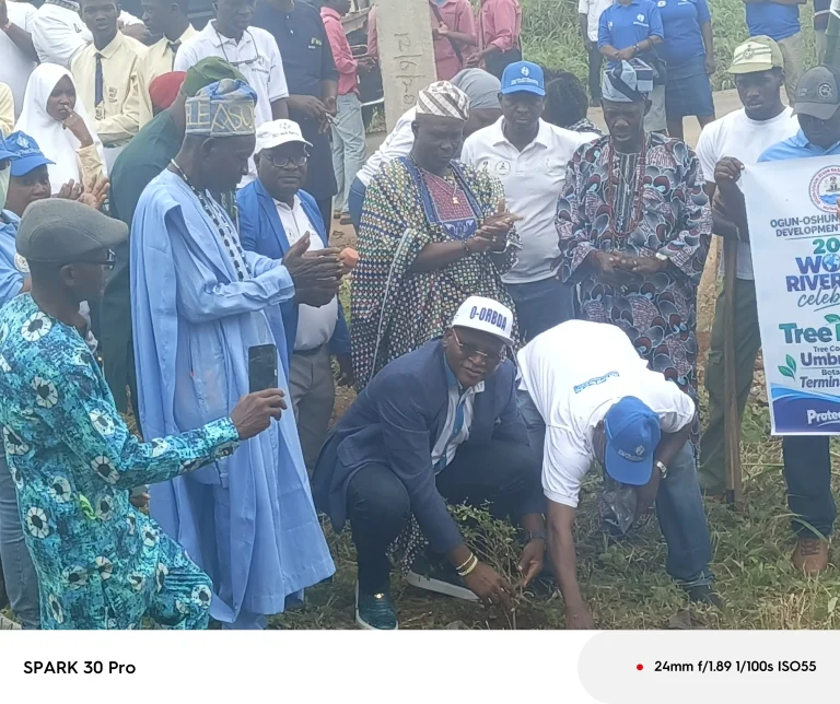 Deforestation, waste dumping worsening flooding, says Ogun-Osun basin boss