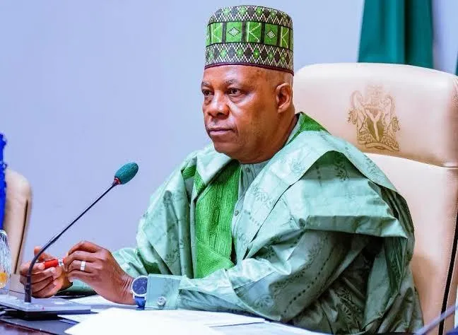 How much power does a Nigerian vice president really have?