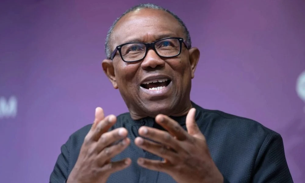 Peter Obi 2027: how will his promises be funded?