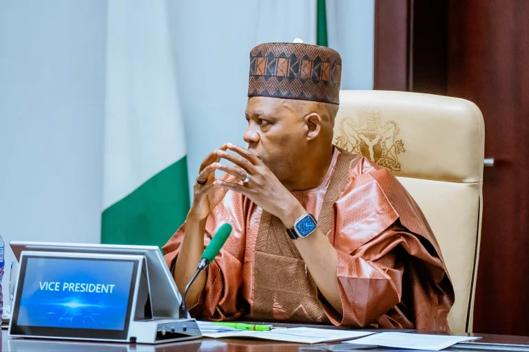 Miners’ deaths: Shettima visits Niger, announces N250m support for victims’ families